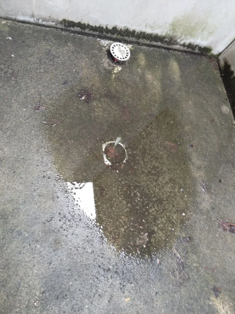 Каналсерията. Не е оценена добре